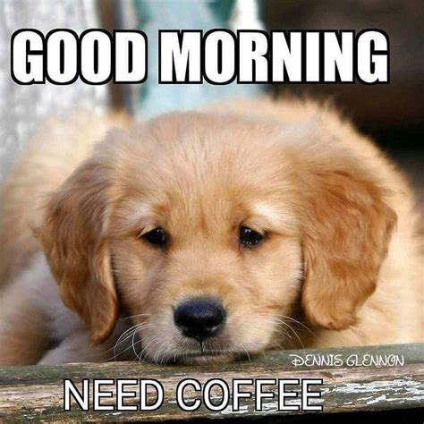Golden Coffee Lover In 2021 Good Morning Dog Good Morning Animals