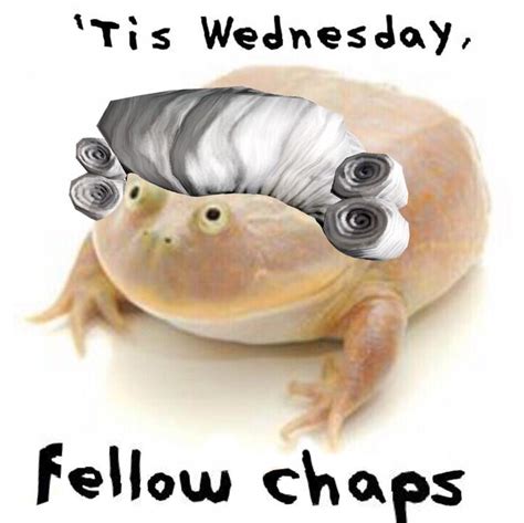 Today Is Wednesday My Dudes Meme Pascalehoppe