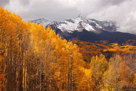 Colorado Fall Colors Mountain Photography By Jack Brauer
