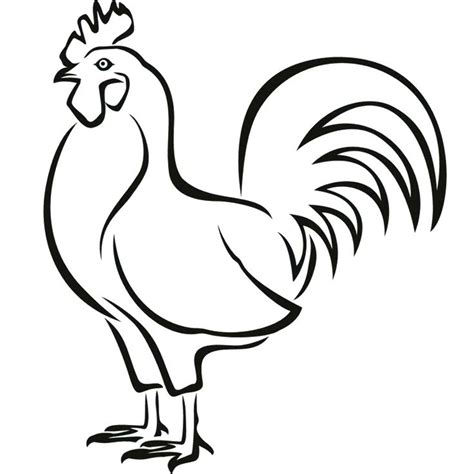Download High Quality Rooster Clipart Easy Transparent Png Images Art