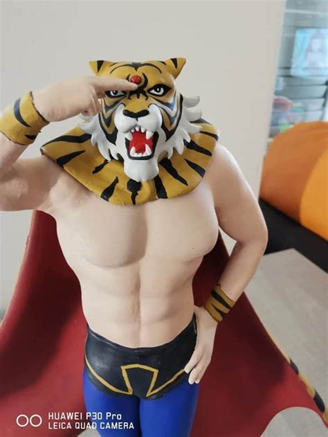 Tiger Mask Uomo Tigre Etsy