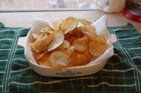 I also make dried potato chips in a similar way. Dehydrating Way Beyond Jerky: Potato Chips? Of Course!
