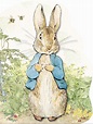 Peter Rabbit/Pieter Konijn/info - Cadosa