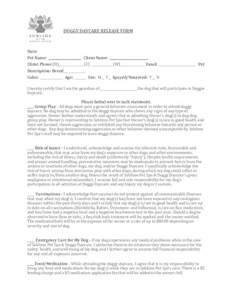 Fillable Online Foster Application Template Pdf Templates Jotform