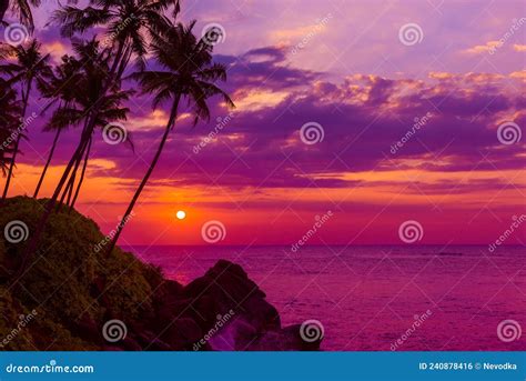 Tropical Sunset Over The Ocean With Coconut Palm Tree Silhouettes Stock