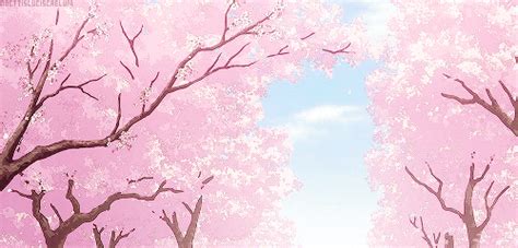 Anime Cherry Blossom Kawaii Cute Wallpaper