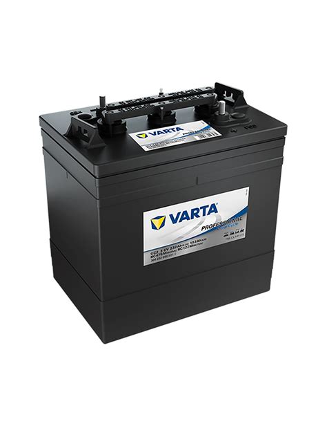 Batería Gc23 6v 232ah Varta Professional Deep Cycle