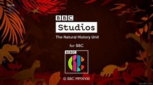 BBC Studios The Natural History Unit for BBC - Picalt