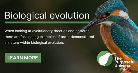 What Is Biological Evolution Purposeful Universe