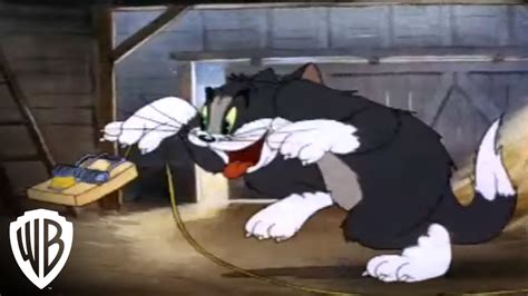 Tom And Jerry Greatest Chases Volume 3 Mouse Trap Warner Bros
