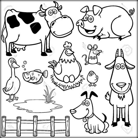 Barnyard Animals Coloring Pages At Getdrawings Free Download