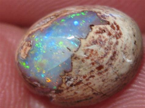 Opalweb Gemmy Mexican Opal 560cts Crystals And Gemstones Opal