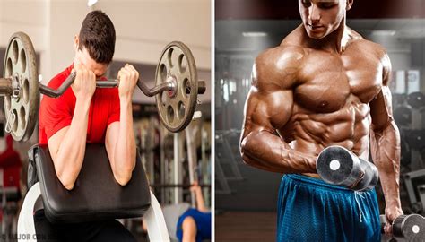ejercicios para aumentar los bíceps — mejor con salud