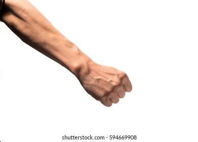 Human Arm Fist Isolated On White Stock Photo Shutterstock