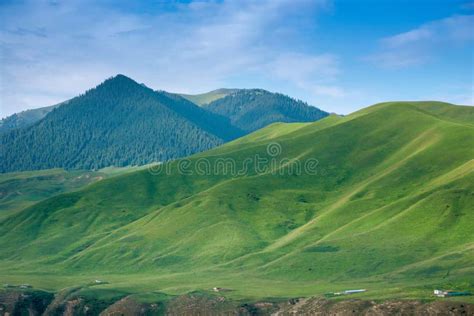 Green Alpine Meadows And Forest In Mountain Ranges With Blue Sky Stock