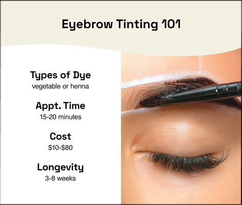 Eyebrow Tinting 101 Everything You Need To Know Before Booking An
