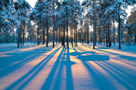 Free Download Winter Sunrise Wallpaper Winter Photos 4489x2983 For