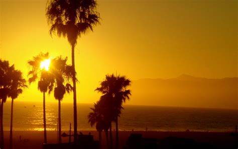 Free Download 49 Venice Beach California Wallpaper On 1920x1200 For