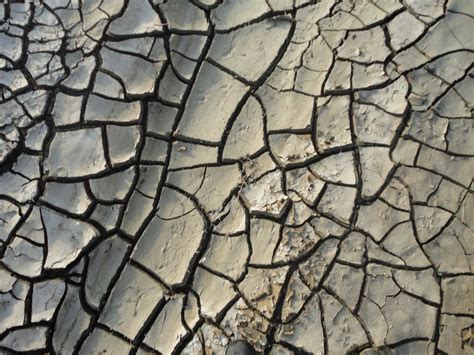 Free Images Nature Sand Wood Field Texture Floor Asphalt Bark