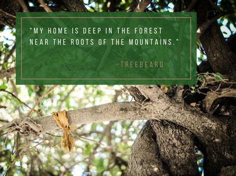 Published january 11, 2017 | by shirleytwofeathers. Crews Internship Treebeard Quote - The Project on Lived TheologyThe Project on Lived Theology