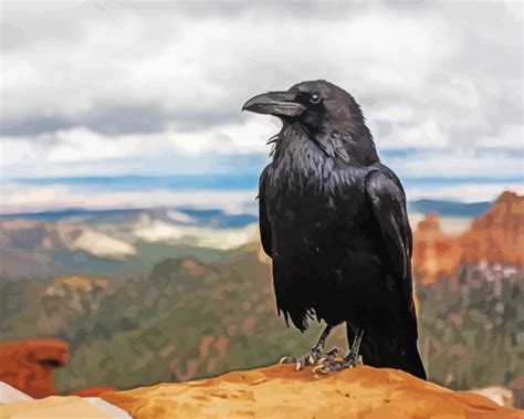 Common Raven Paint By Number Painting By Numbers