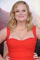 65 Sexy Pictures Of Amy Poehler Will Speed up A Gigantic Grin All over ...
