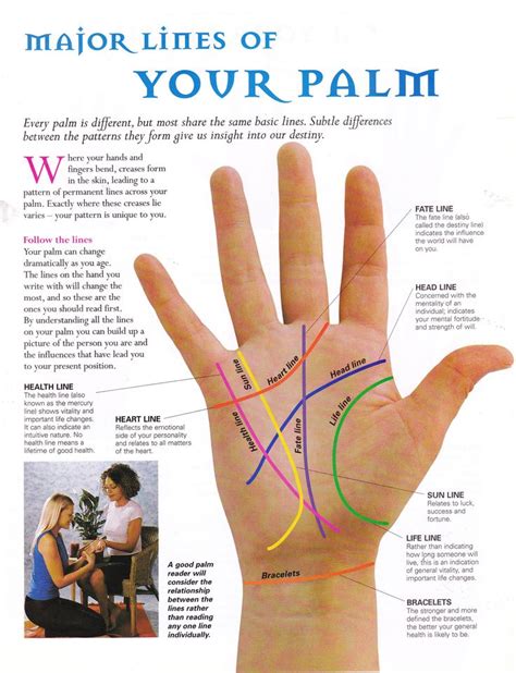 Major Lines Of Your Palm Palmistry Reading Palm Reading Palmistry