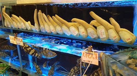 everything you need to know about geoducks eater