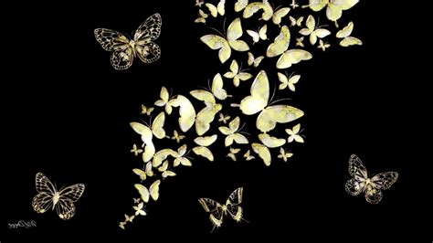 Gold Butterfly Wallpapers Top Free Gold Butterfly Backgrounds