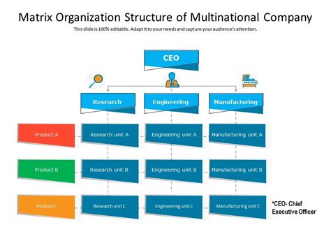 Matrix Organization Structure Of Multinational Company Presentation