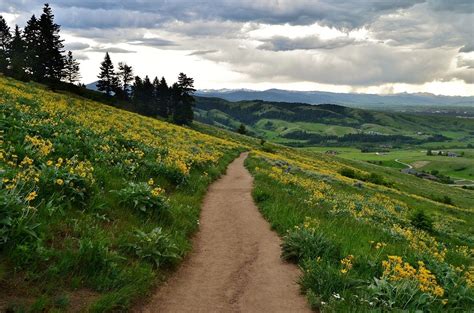 9 Easy And Beautiful Spring Hikes Everyone In Montana Will Love