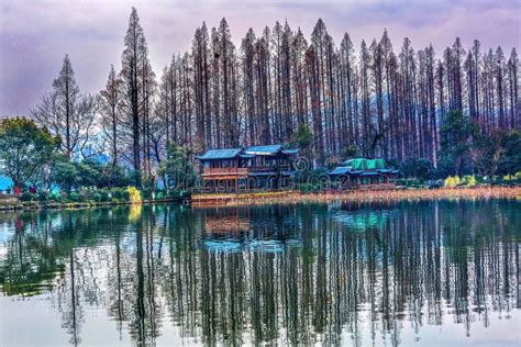 Old Chinese Pavilion Trees West Lake Reflection Hangzhou Zhejiang China