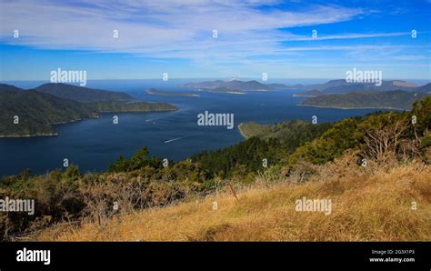 Queen Charlotte Sound Stock Photo Alamy
