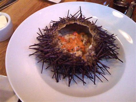 Trying Sea Urchin For The First Time Eating Rules