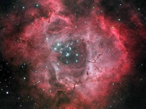Caldwell 49 Rosette Nebula Hargb Experienced Deep Sky Imaging