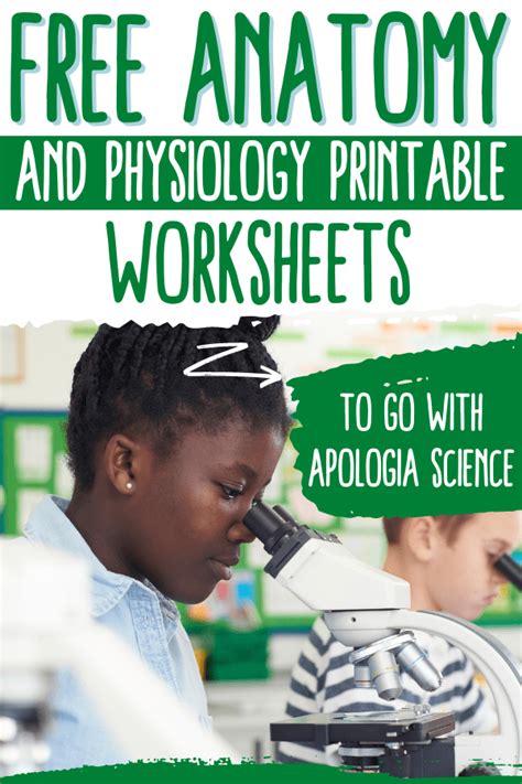Anatomy And Physiology Printable Worksheets That Go Along Perfectly
