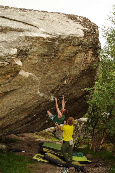 Zoomalia.com, l'animalerie en ligne au meilleur prix. Adam Ondra befreit sein Projekt Hard, Alexander Megos on ...