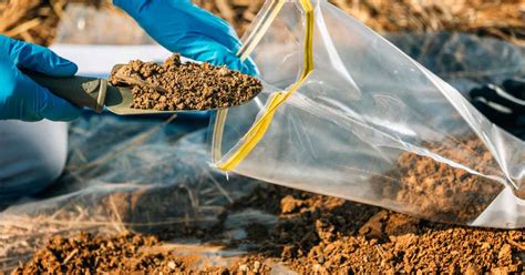 The Importance Of Soil Testing Why And How To Test Your Soil