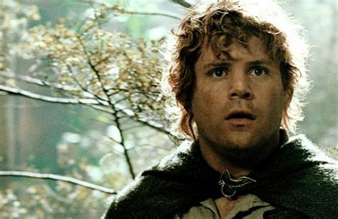 Samwise Gamgee The Hobbit Samwise Gamgee Lord Of The Rings