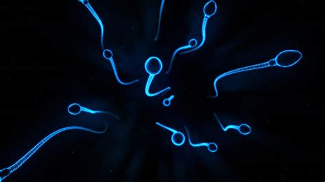 Sperm Swimming In 3d Youtube