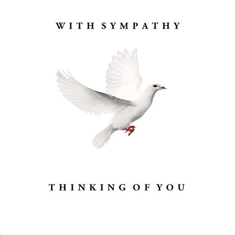 By Range Sympathy Dove Portfolio Cards