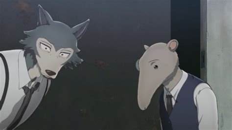 This Animation From Beastars Episode 2 Has Me Roll Tumbex
