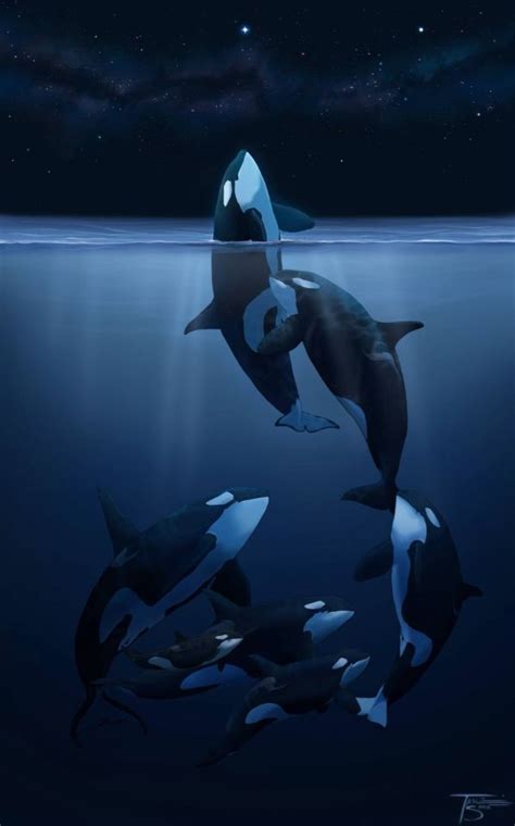 Orca Art O⃟r⃟c⃟a⃟ A⃟r⃟t⃟ Pinterest Orca Art Orcas And Killer Whales