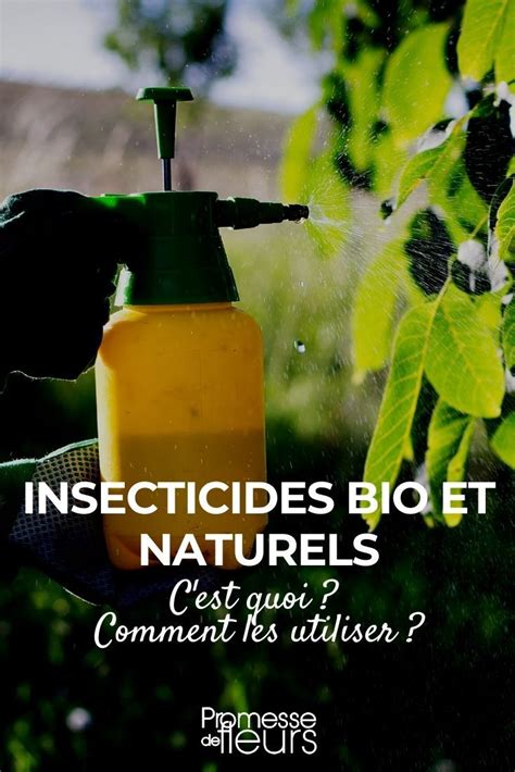 Insecticides Bio Et Naturels Qui Sont Ils Et Comment Les Utiliser My