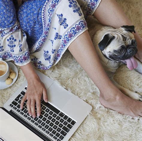 5 Ways To Keep Your Dog Entertained While Working From Home