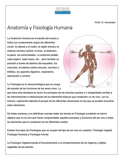 Conceptos Anatomía Y Fisiología Humana By Wilmaris Hernández Issuu