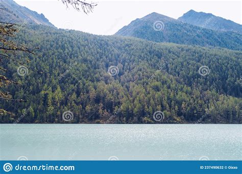 Picturesque View At Kucherla Blue Mountain River And Mountain Forest