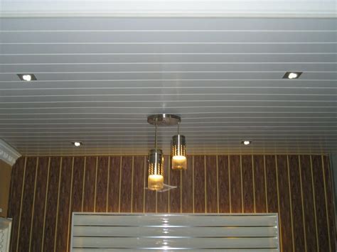 Pvc Ceilings Pelican Systems