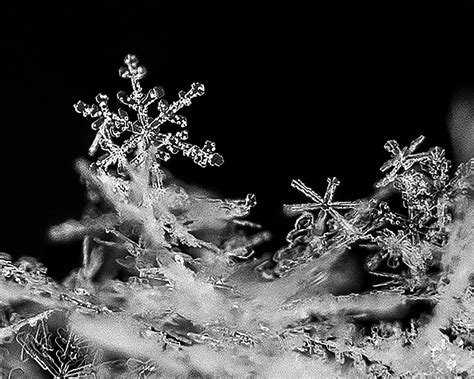 Snowflake Ice Crystals Etsy
