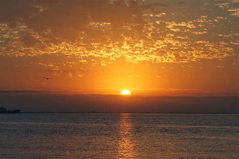 Ocean Horizon Sunrise